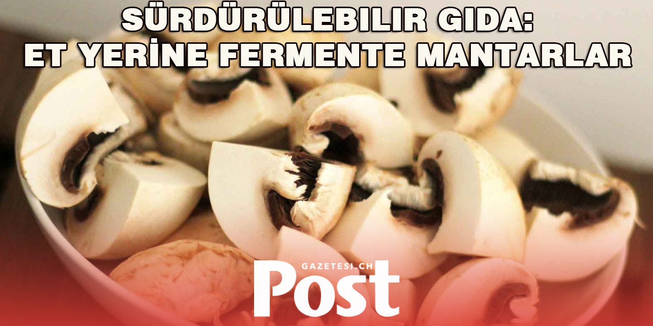 Fermente Mantarlar: Etin Yerine Vegan Alternatif