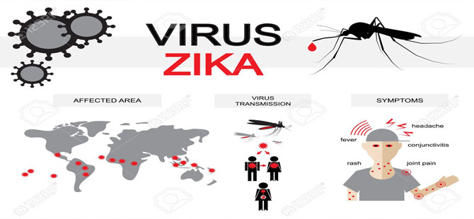 Hamile kadınlar zika  virüsü uyarısı