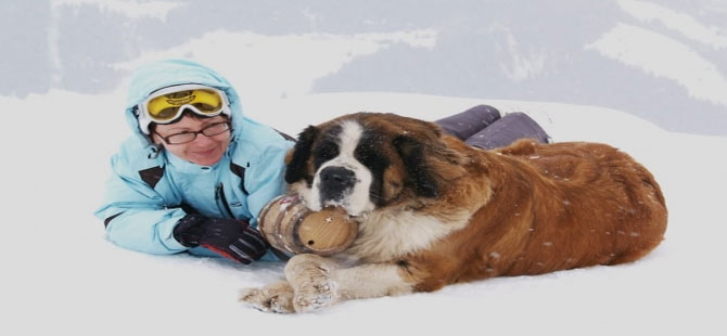 İsviçre köpeklerine teknoloji desteği geliyor