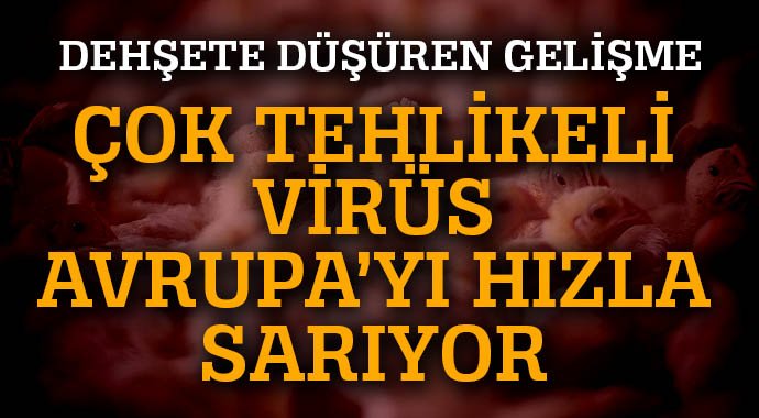 Çok tehlikeli virüs AB'yi hızla sarıyor