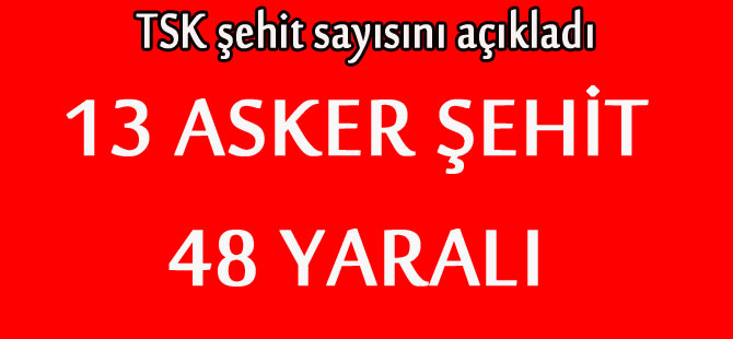 TSK şehit sayısını açıkladı!