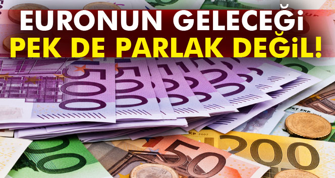 Euronun geleceği pek de parlak değil