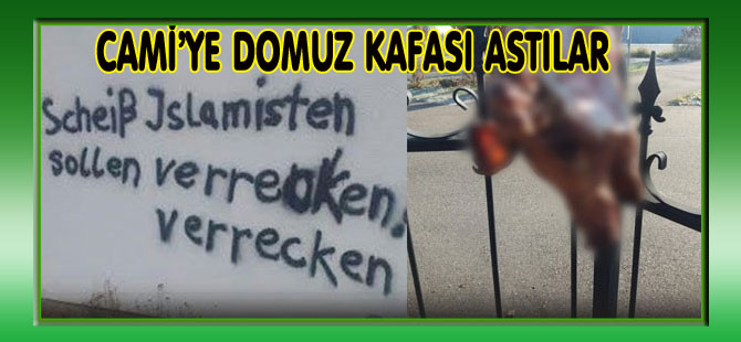 CAMİ’YE DOMUZ KAFASI ASTILAR