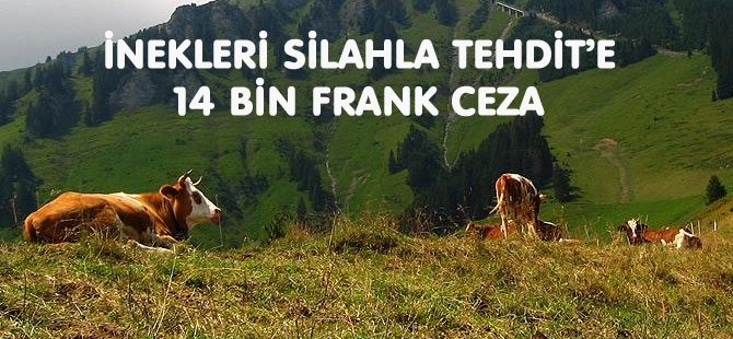 İNEKLERİ SİLAHLA TEHDİT’E 14 BİN FRANK CEZA