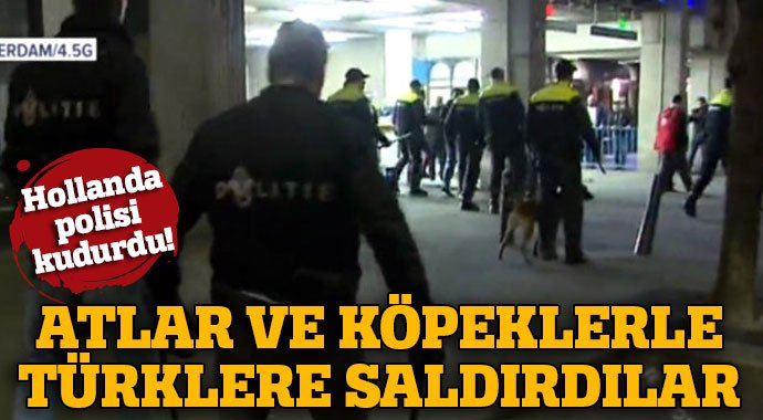 Hollanda polisi Rotterdam'da Türklere saldırdı