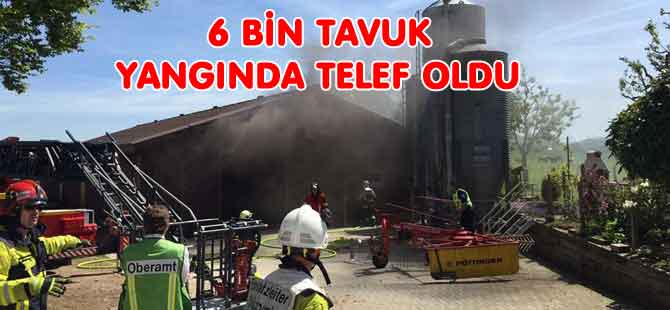 ÇİFTLİK YANDI TAVUKLAR TELEF OLDU