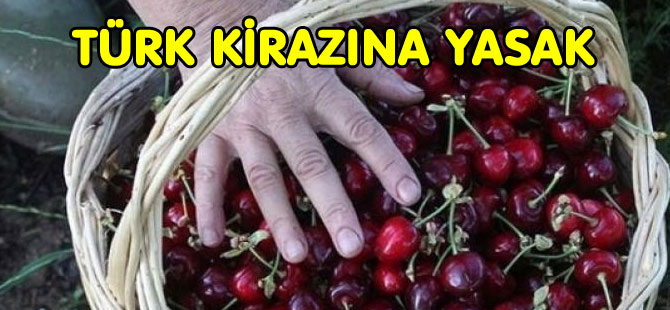 TÜRK KİRAZINA YASAK GELDİ