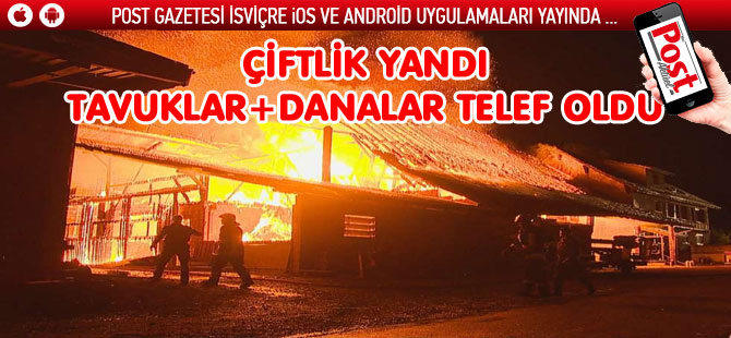 YANGIN ÇIKAN ÇİFTLİKTE DANALAR VE TAVUKLAR TELEF OLDU