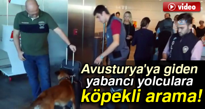 Avusturyalılara kısasa kısas