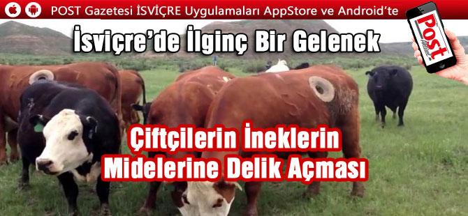 İsviçre’de İlginç Bir Gelenek