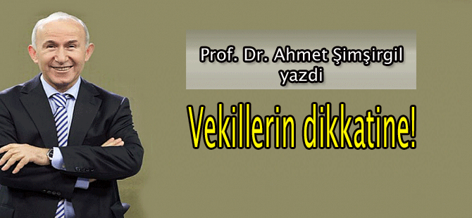 Prof.Dr.Ahmet Şimşirgil yazdı: Vekillerin dikkatine!