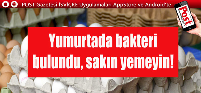 Süpermarketten yumurta satın aldıysanız bu habere dikkat