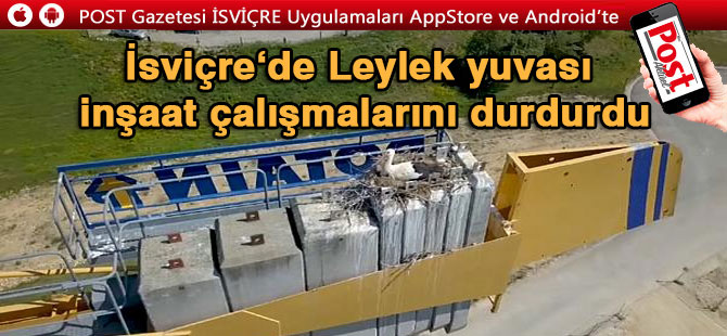 İsviçre'de Leylek yuvası inşaat çalışmalarını durdurdu