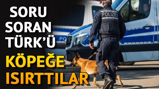 Alman polis, soru soran Türk'ü köpeğine ısırttı