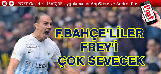 Fenerbahçeliler Frey'i çok sevecek