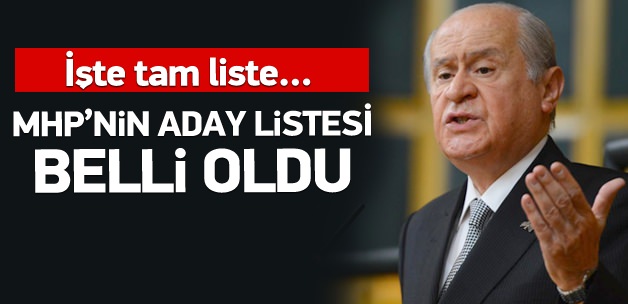 İşte MHP'nin il il aday listesi