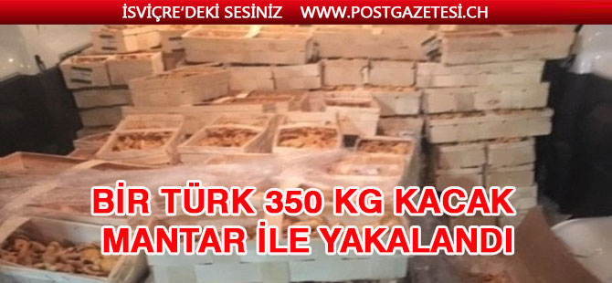 Bir Türk 350 kg- kacak mantar ile yakalandi