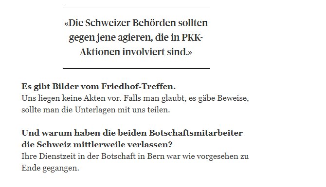 buyukelci-tagesanzeiger-1.png