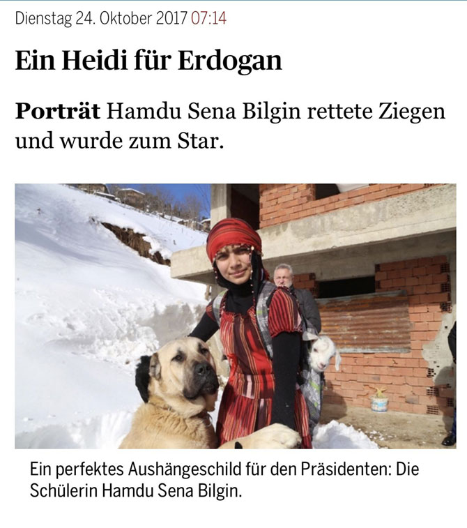 heidi1.jpg